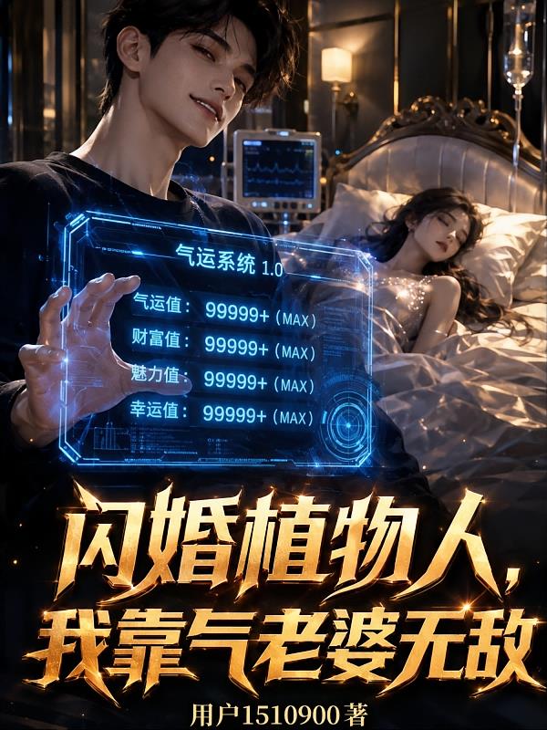 閃婚植物人，我靠氣老婆無敵